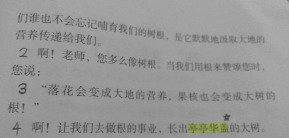 亭亭华盖的意思,不要百度上的,感觉百度上的不准确