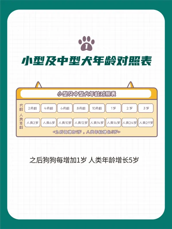 鐙楃嫍骞撮緞鎹㈢畻琛ㄤ辅闄勮禒鐙楃嫍闀垮绉樿瘈