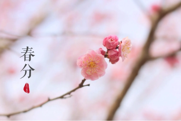 春分节气古诗词十二首