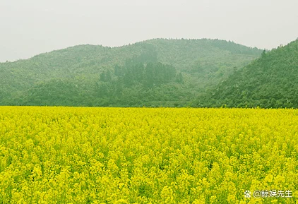 踏青的习俗不仅仅是端午节的风俗习惯，也是哪个节日的习俗呢？